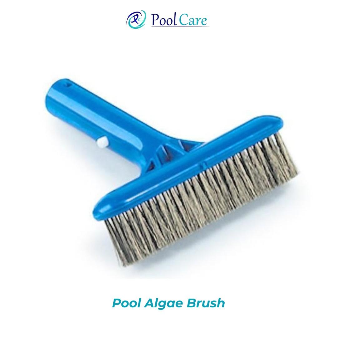 pool-algae-brush